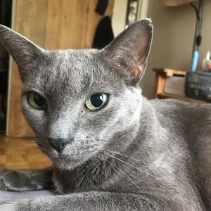 Meet your Posher, Justin david